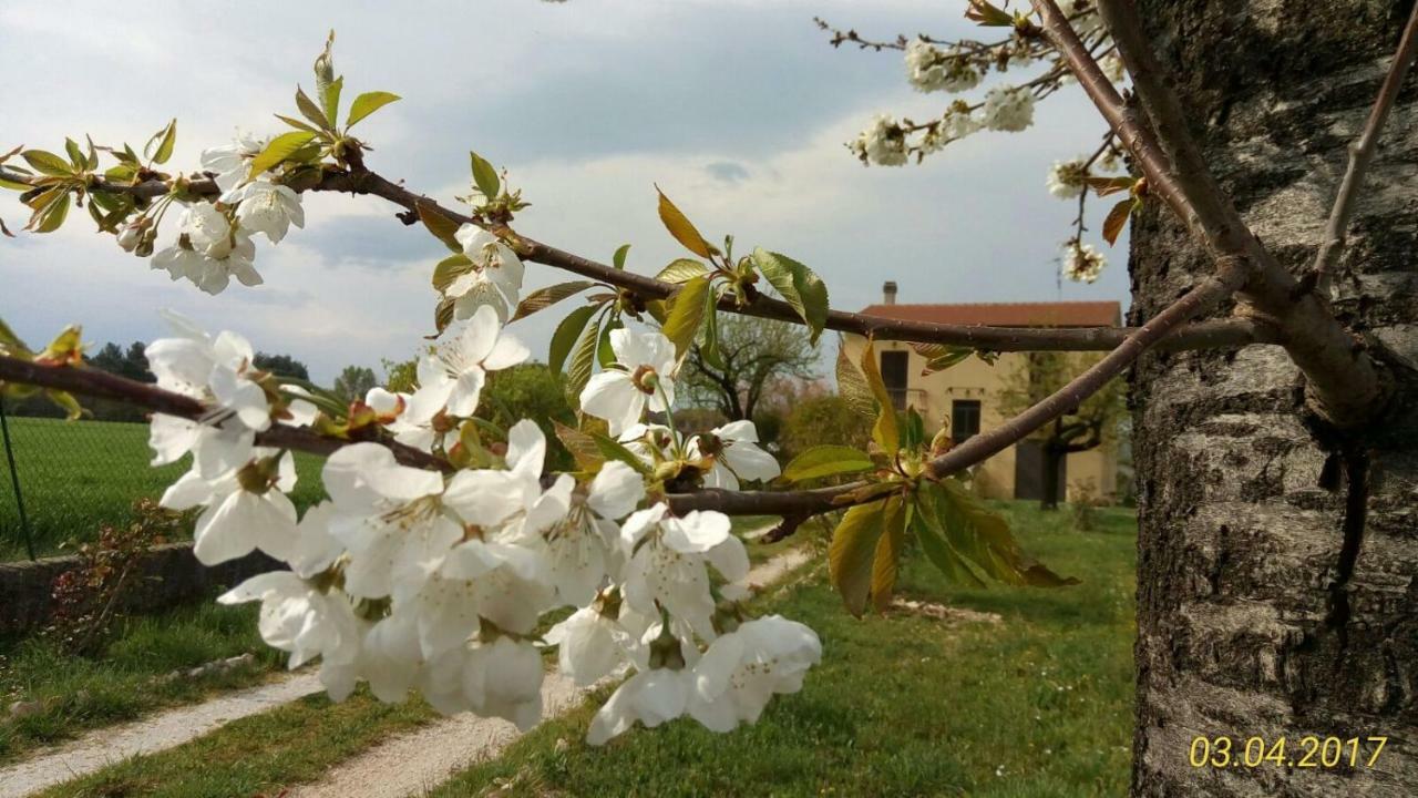 B&B Fior Fiore สเปลโล ภายนอก รูปภาพ